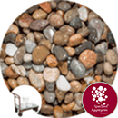 Caledonian Pebbles 14-20mm - Click & Collect - 2404